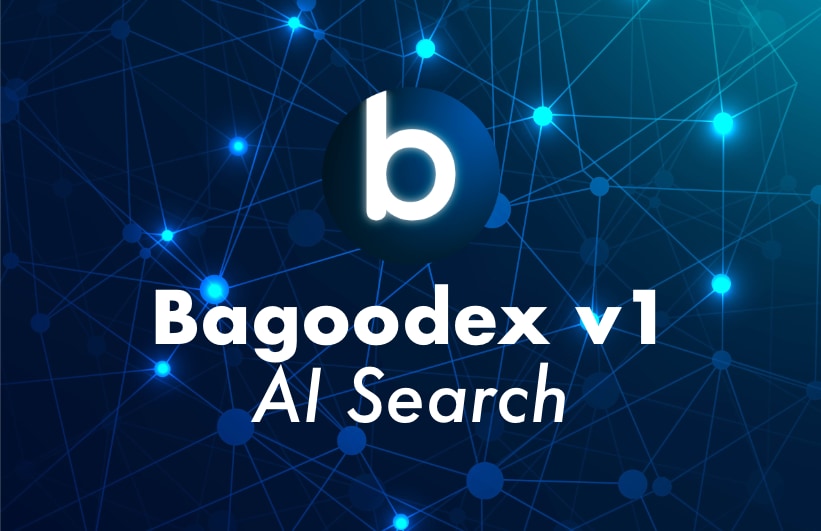 AI Web Search with Bagoodex v1